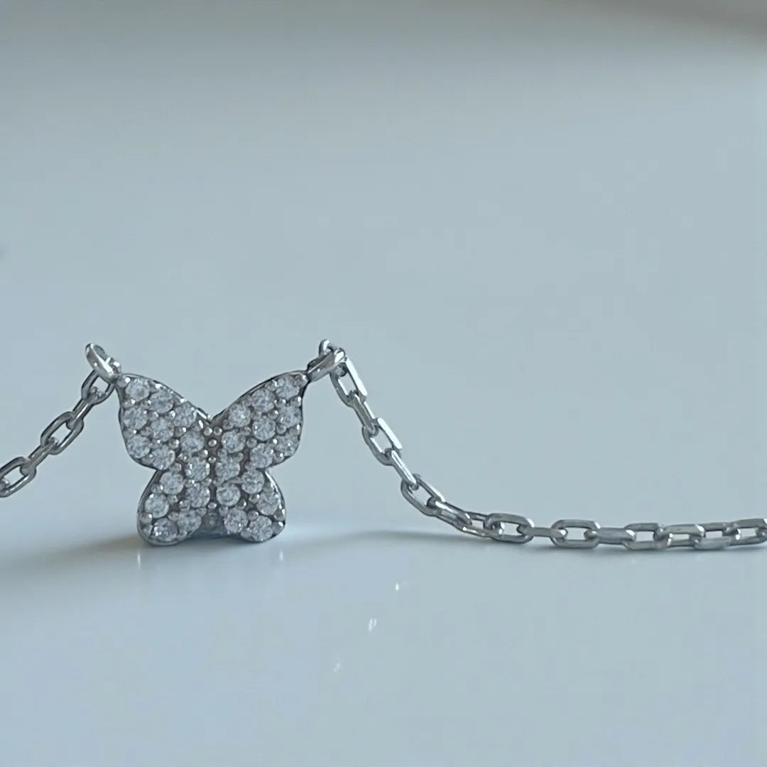 butterfly4