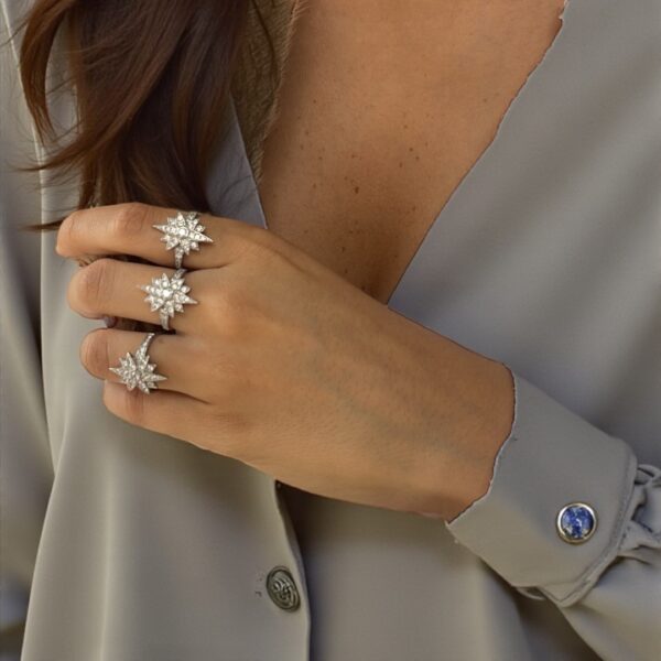 כוכבת ראשית